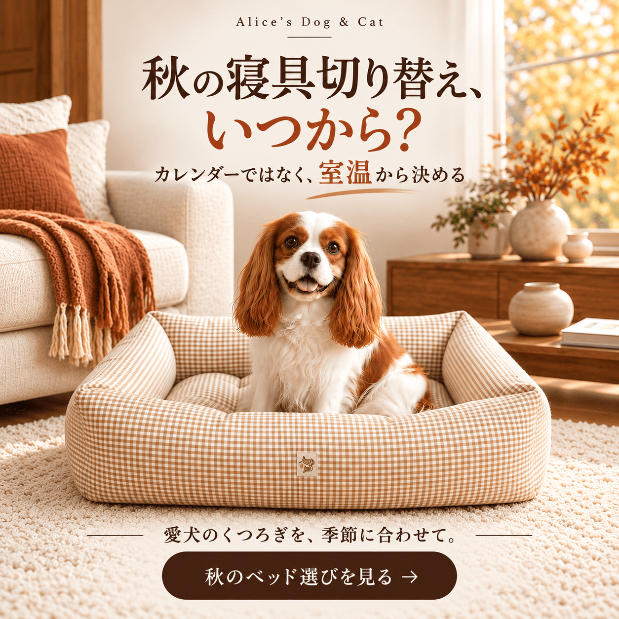 秋冬の寝具切り替え、いつから？｜カレンダーではなく、室温から決める - Alice's Dog & Cat