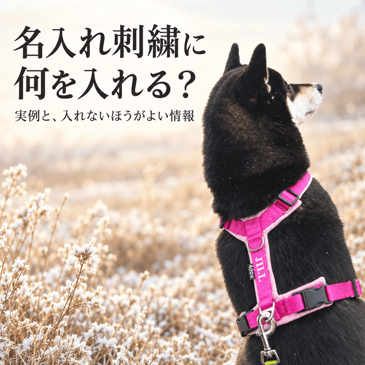 名入れ刺繍に何を入れる？｜実例と、入れないほうがよい情報 - Alice's Dog & Cat