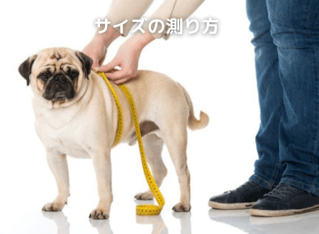 犬用ハーネス ペルロスハーネスの測り方・選び方 - Alice's Dog & Cat