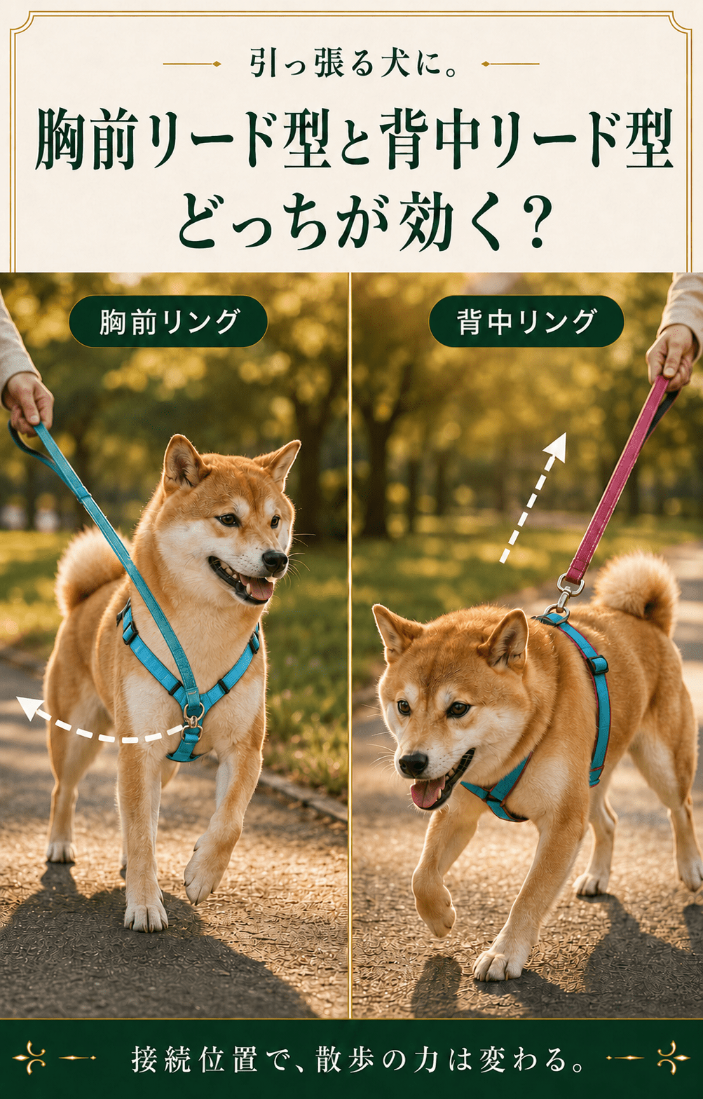 引っ張る犬に。胸前リード型と背中リード型、どっちが効く？ - Alice's Dog & Cat