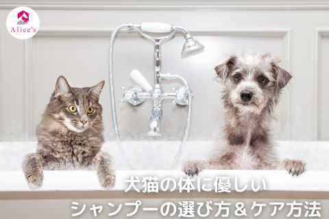 犬猫の体に優しいシャンプーの選び方＆ケア方法 - Alice's Dog & Cat