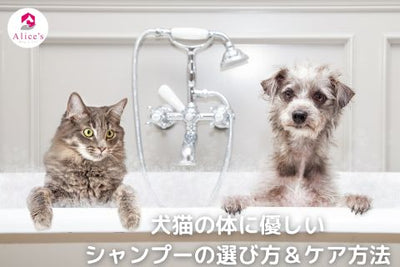 犬猫の体に優しいシャンプーの選び方＆ケア方法