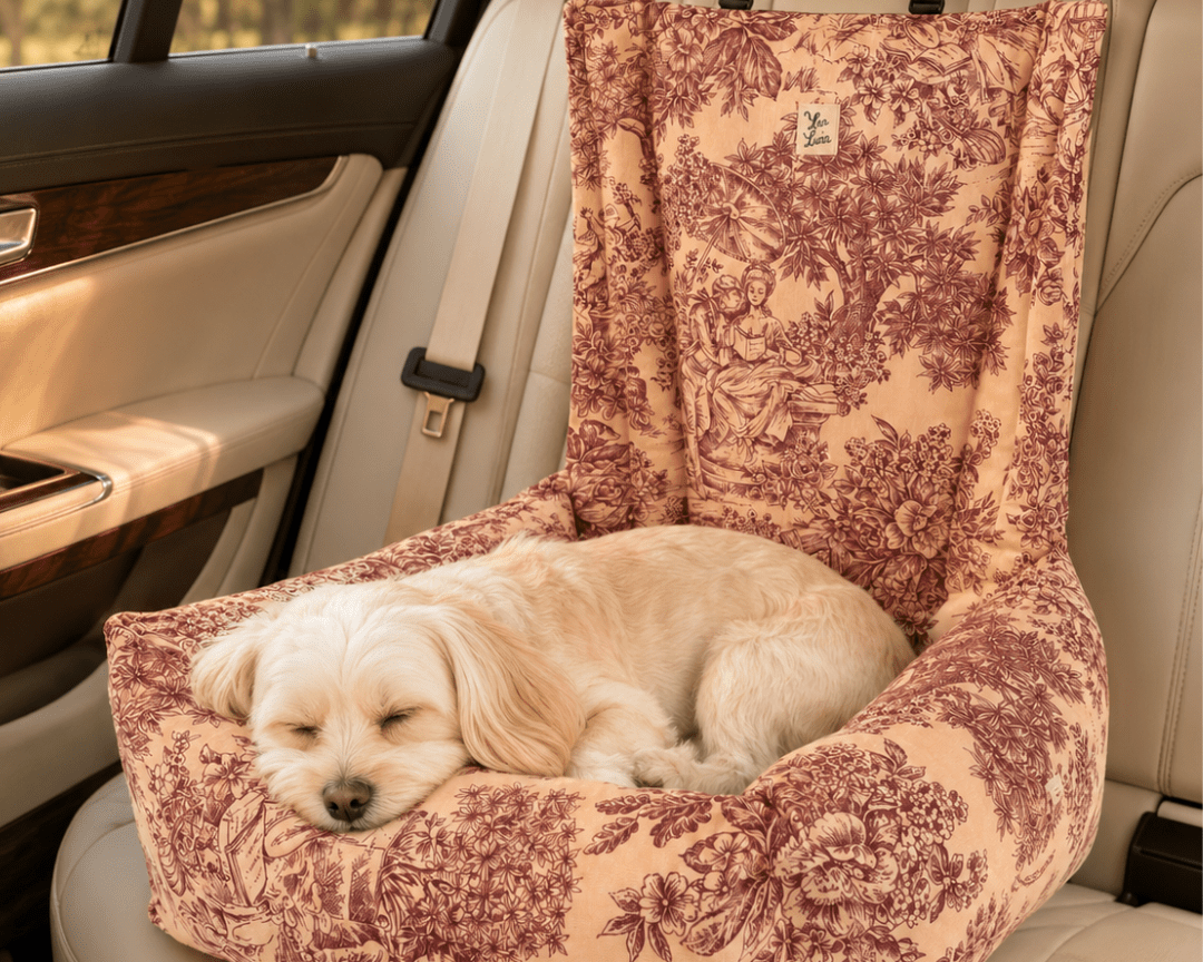 愛犬との安全な車移動のために｜ドライブ用ベッドと普通の犬用ベッドの違いを徹底比較 - Alice's Dog & Cat