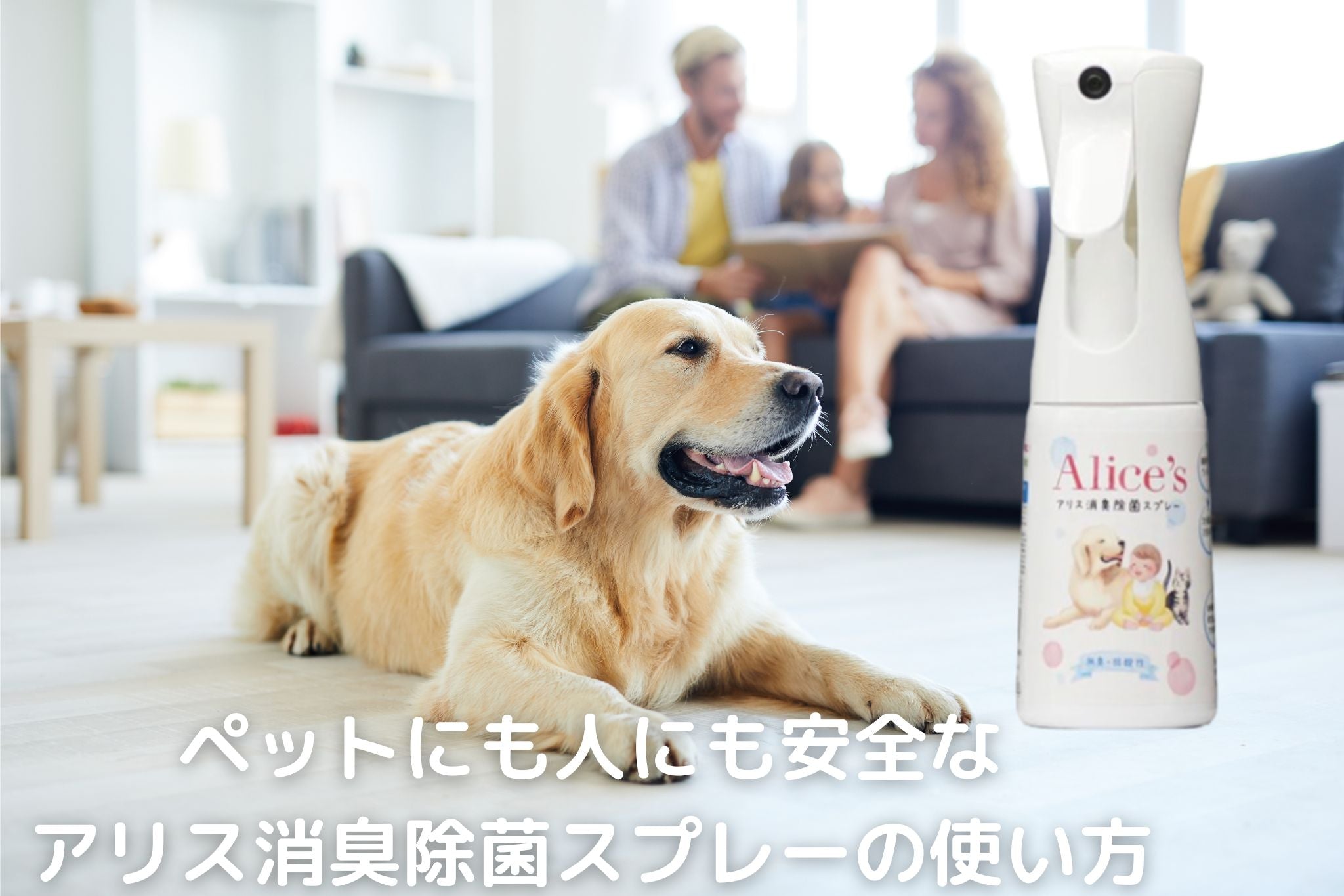 ペットにも人にも安全なアリス消臭除菌スプレーの使い方 - Alice's Dog & Cat