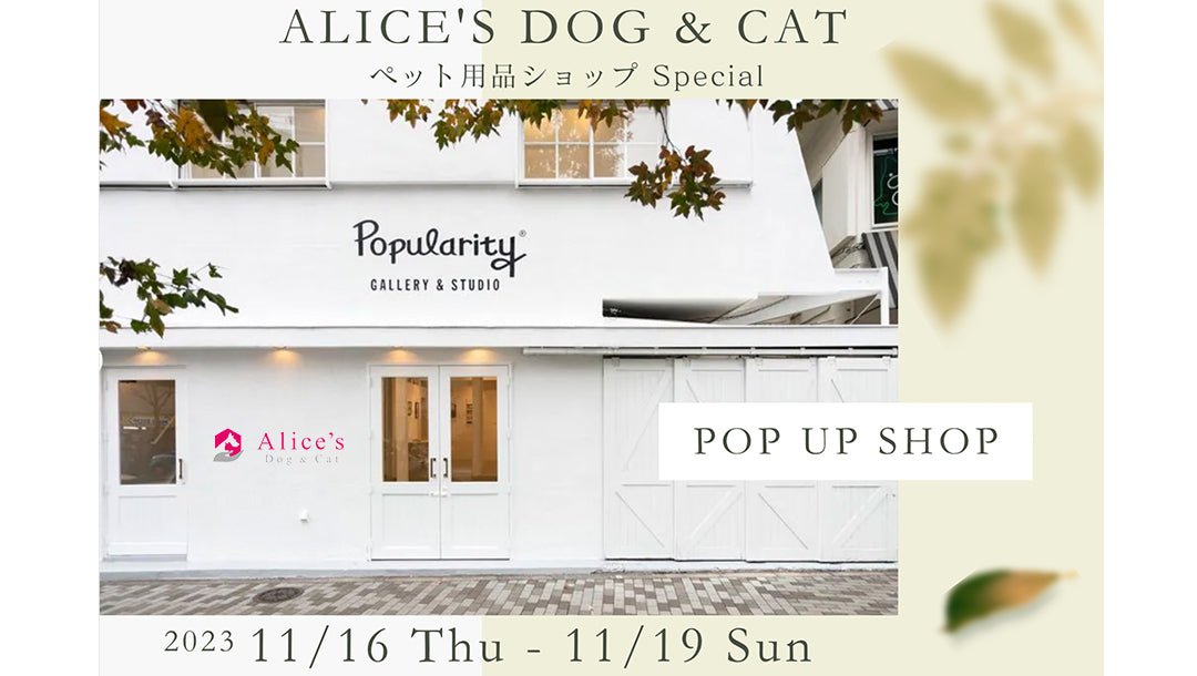 【お知らせ】青山、神宮前でポップアップショップ開催！ - Alice's Dog & Cat