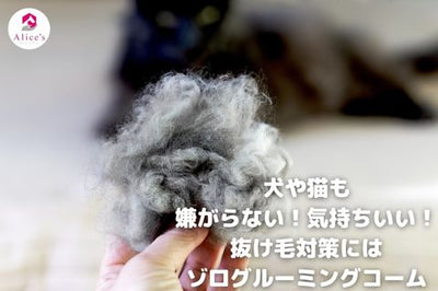 犬や猫も嫌がらない！気持ちいい抜け毛対策ならゾログルーミングコームがおすすめ