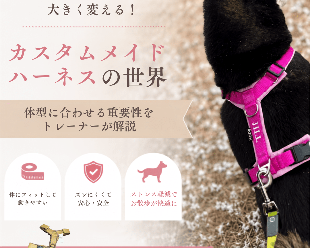 カスタムメイドハーネスの世界：体型に合わせる重要性をトレーナーが解説 - Alice's Dog & Cat