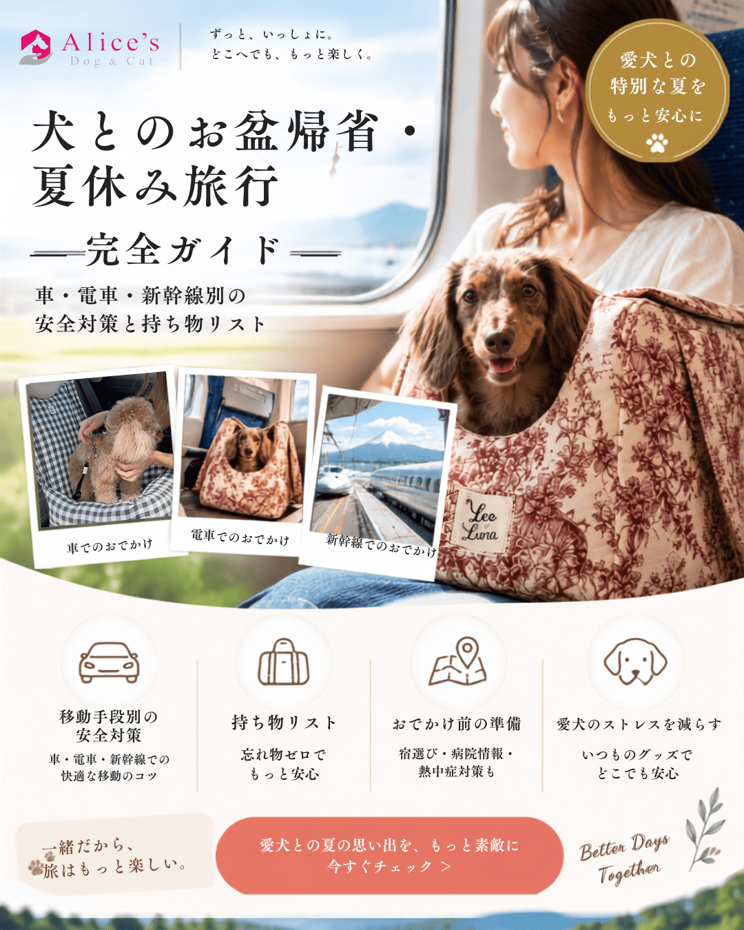 犬とのお盆帰省・夏休み旅行 完全ガイド｜車・電車・新幹線別の安全対策と持ち物リスト - Alice's Dog & Cat