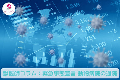 獣医師コラム：【緊急事態宣言】　動物病院の通院について