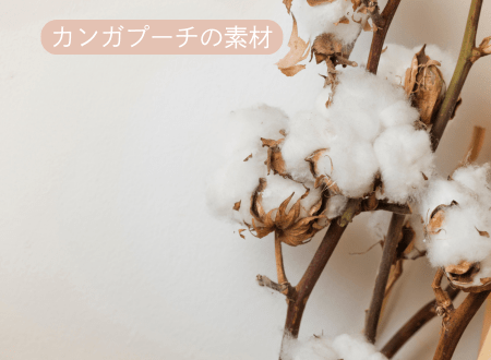 カンガプーチの素材オーガニックコットンについて - Alice's Dog & Cat