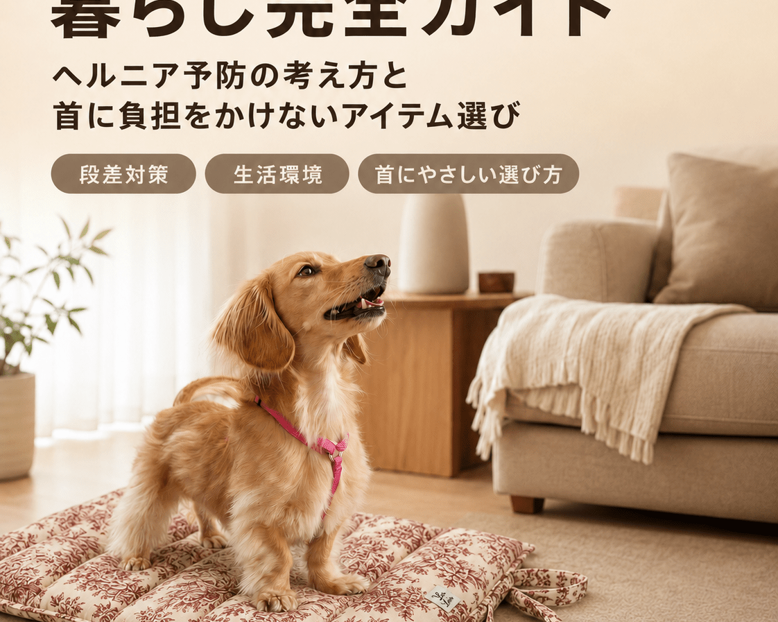 ミニチュアダックスフンドとの暮らし完全ガイド｜ヘルニア予防の考え方と首に負担をかけないアイテム選び - Alice's Dog & Cat