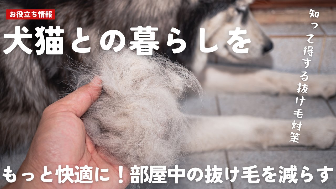 犬猫との暮らしをもっと快適に：知って得する抜け毛対策 - Alice's Dog & Cat