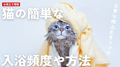簡単な猫の入浴方法