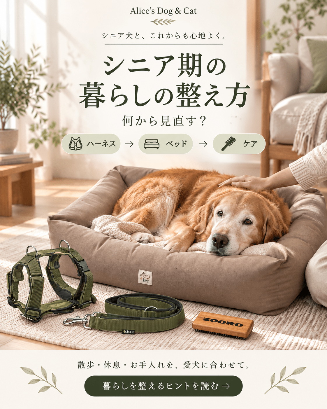 シニア期の暮らしの整え方｜ハーネス・ベッド・ケアの順番 - Alice's Dog & Cat