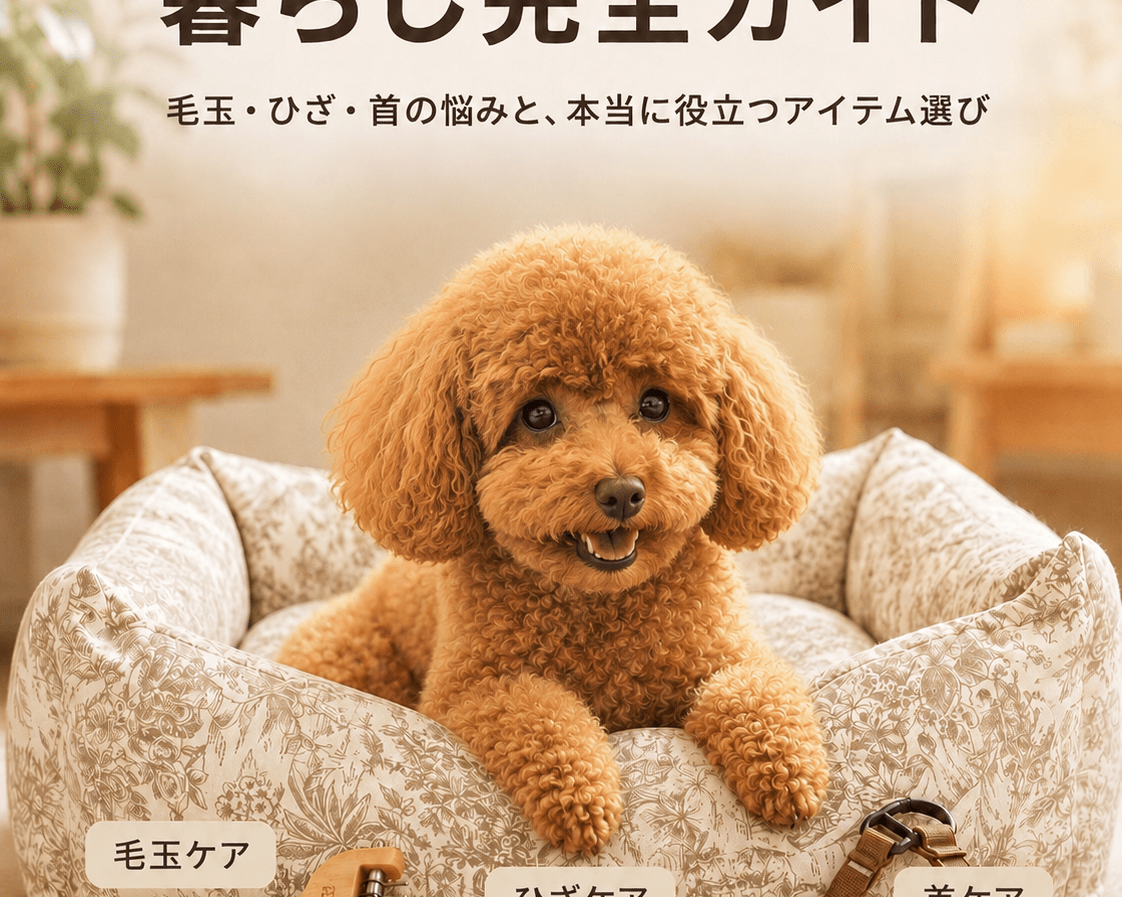 トイプードルとの暮らし完全ガイド｜毛玉・ひざ・首の悩みと本当に役立つアイテム選び - Alice's Dog & Cat