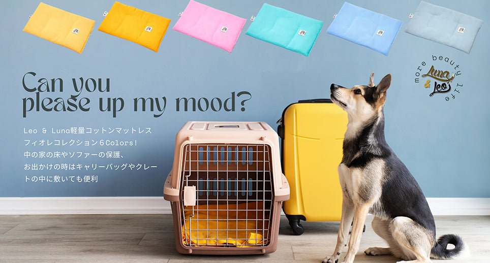 【新商品】Leo & Luna 限定フィオレコレクション軽量マットが登場 - Alice's Dog & Cat