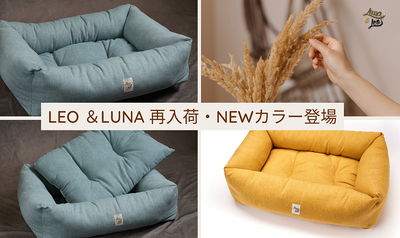 [Restock/NEW color available] Leo Erna Sitter Series