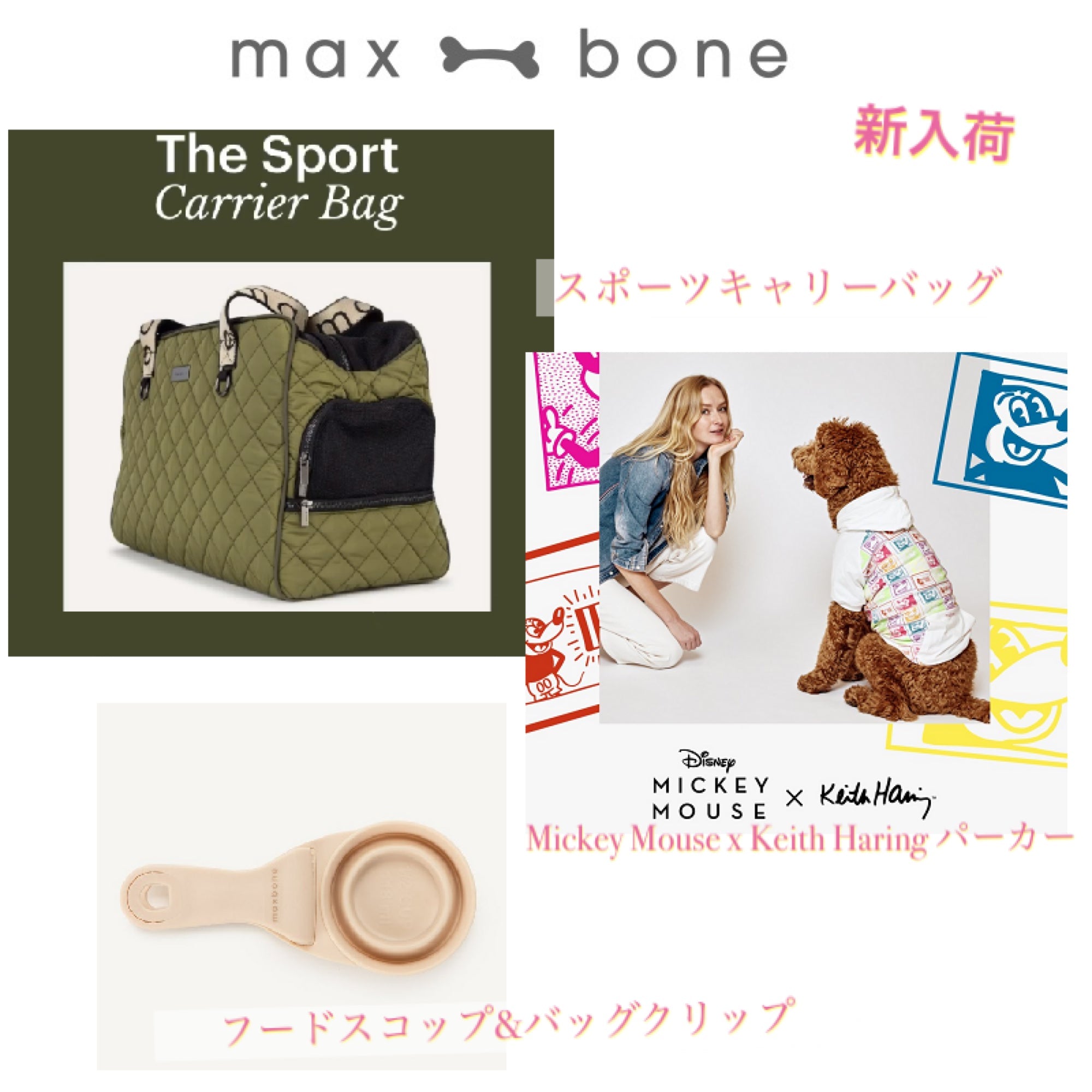 maxbone  新入荷のお知らせ - Alice's Dog & Cat