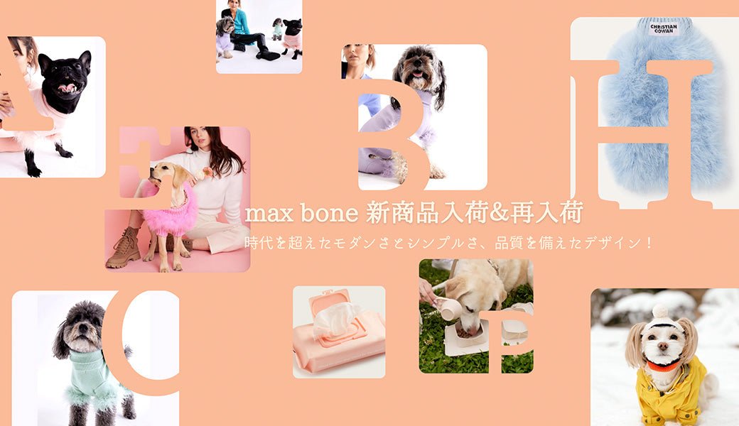 【新商品＆再入荷】maxbone のお知らせ - Alice's Dog & Cat