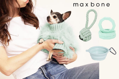 maxbone 犬用の洋服とおもちゃ！！新商品入荷のお知らせ