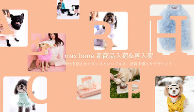 [New products &amp; restock] maxbone announcement 