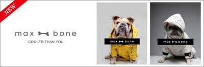 max bone is now available at Alice's Dog &amp; Cat!