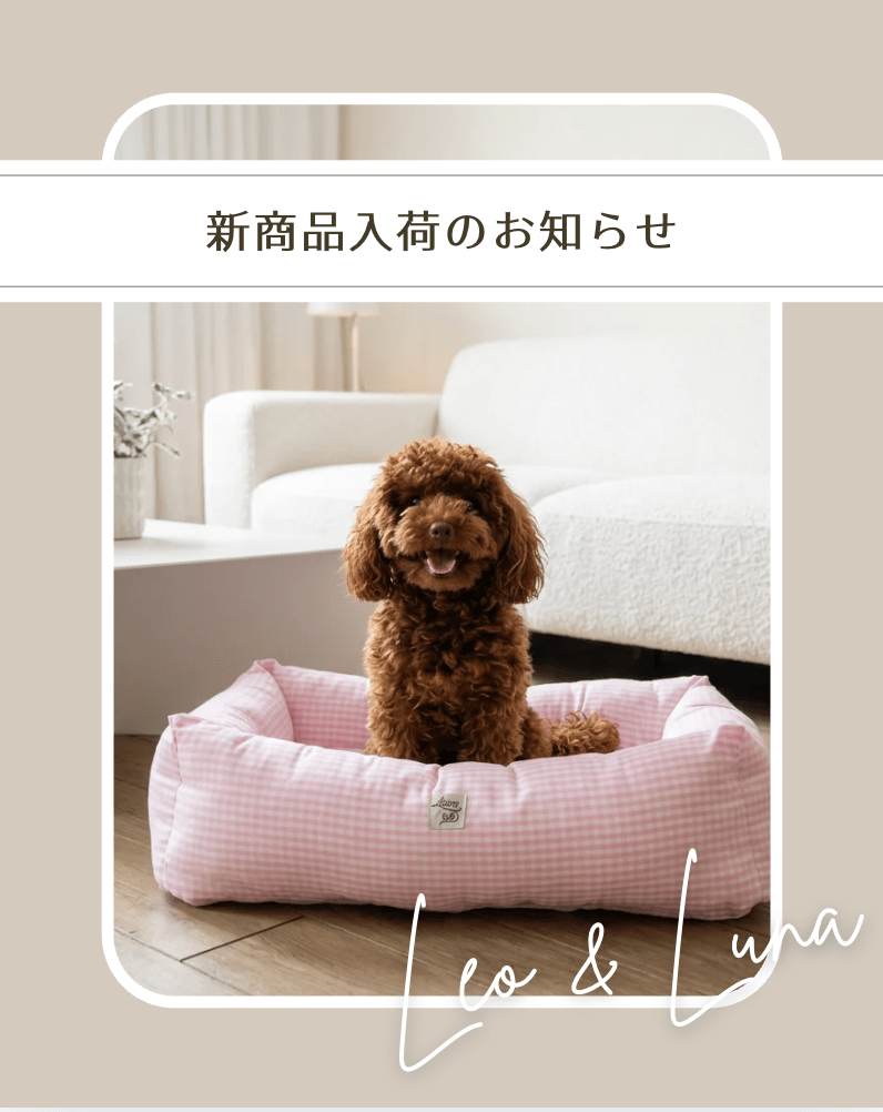 【NEW】カバーを"着せ替え"できる。取り外しカバー式ベッドが新登場しました - Alice's Dog & Cat