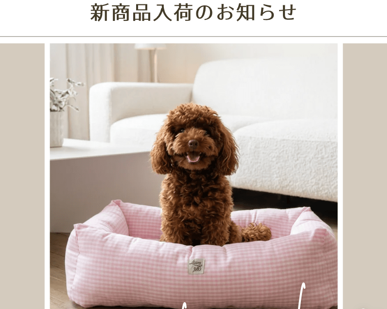 【NEW】カバーを"着せ替え"できる。取り外しカバー式ベッドが新登場しました - Alice's Dog & Cat