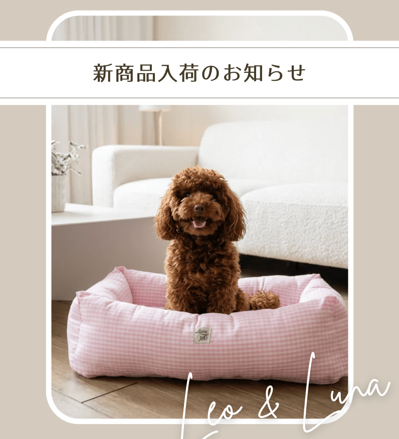 【NEW】カバーを"着せ替え"できる。取り外しカバー式ベッドが新登場しました - Alice's Dog & Cat
