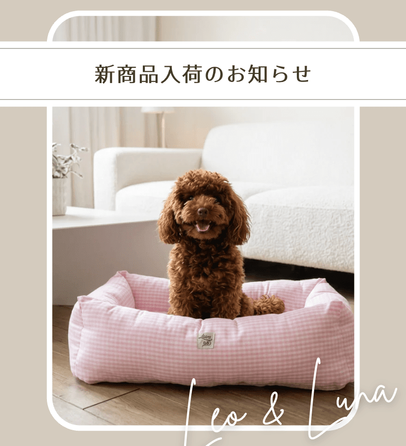 【NEW】カバーを"着せ替え"できる。取り外しカバー式ベッドが新登場しました - Alice's Dog & Cat