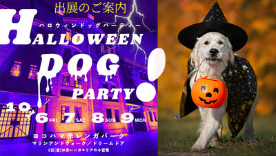 [Exhibition Information] Yokohama BAY WALK MARKET 2023 Halloween Dog Party October 7th, 8th, 9th 
