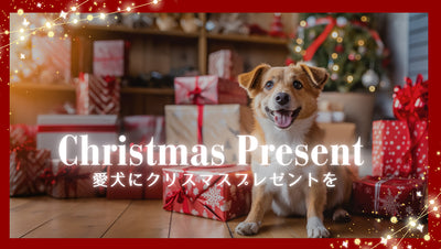 【Christmas Items】愛犬にクリスマスプレゼントを！
