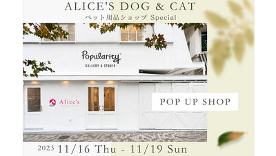 [Notice] Pop-up shop will be held in Jingumae, Aoyama! 