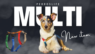[New Product] PERROS Harness Multi-color now available! 