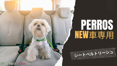 【新商品】PERROS 車専用 犬のシートベルトリーシュ
