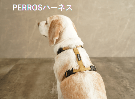 抜けにくい犬のハーネスなら【Perros ペルロスハーネス】安全・快適な散歩をサポート - Alice's Dog & Cat