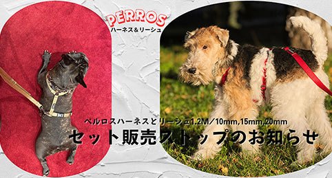 【お知らせ】 PERROS ハーネスとリーシュセット販売ストップについて - Alice's Dog & Cat