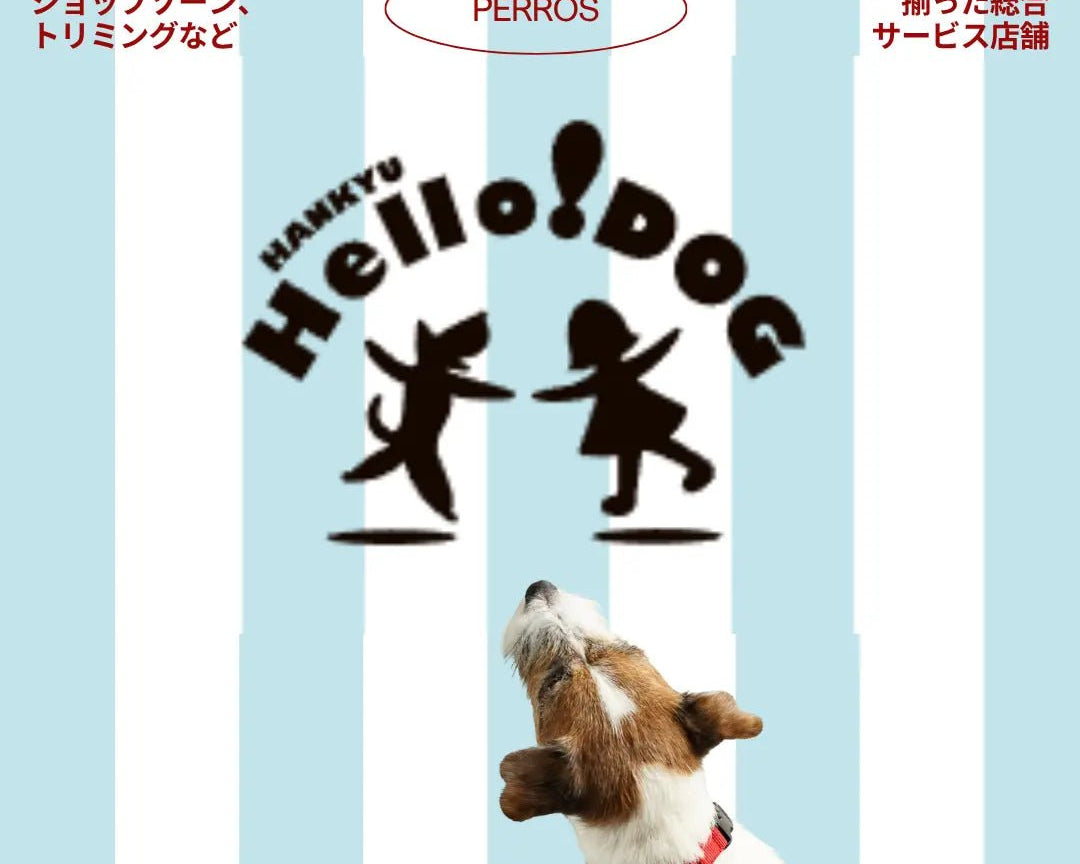 【販売店ご案内】西宮阪急店 PERROS  ハーネス＆リーシュ販売スタート - Alice's Dog & Cat