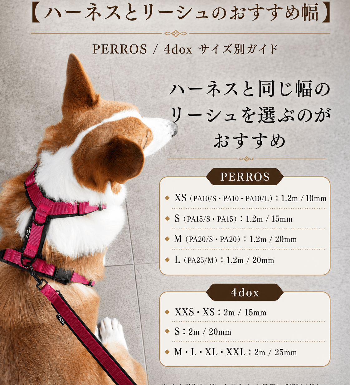  4dox セットパッケージ登場 - Alice's Dog & Cat
