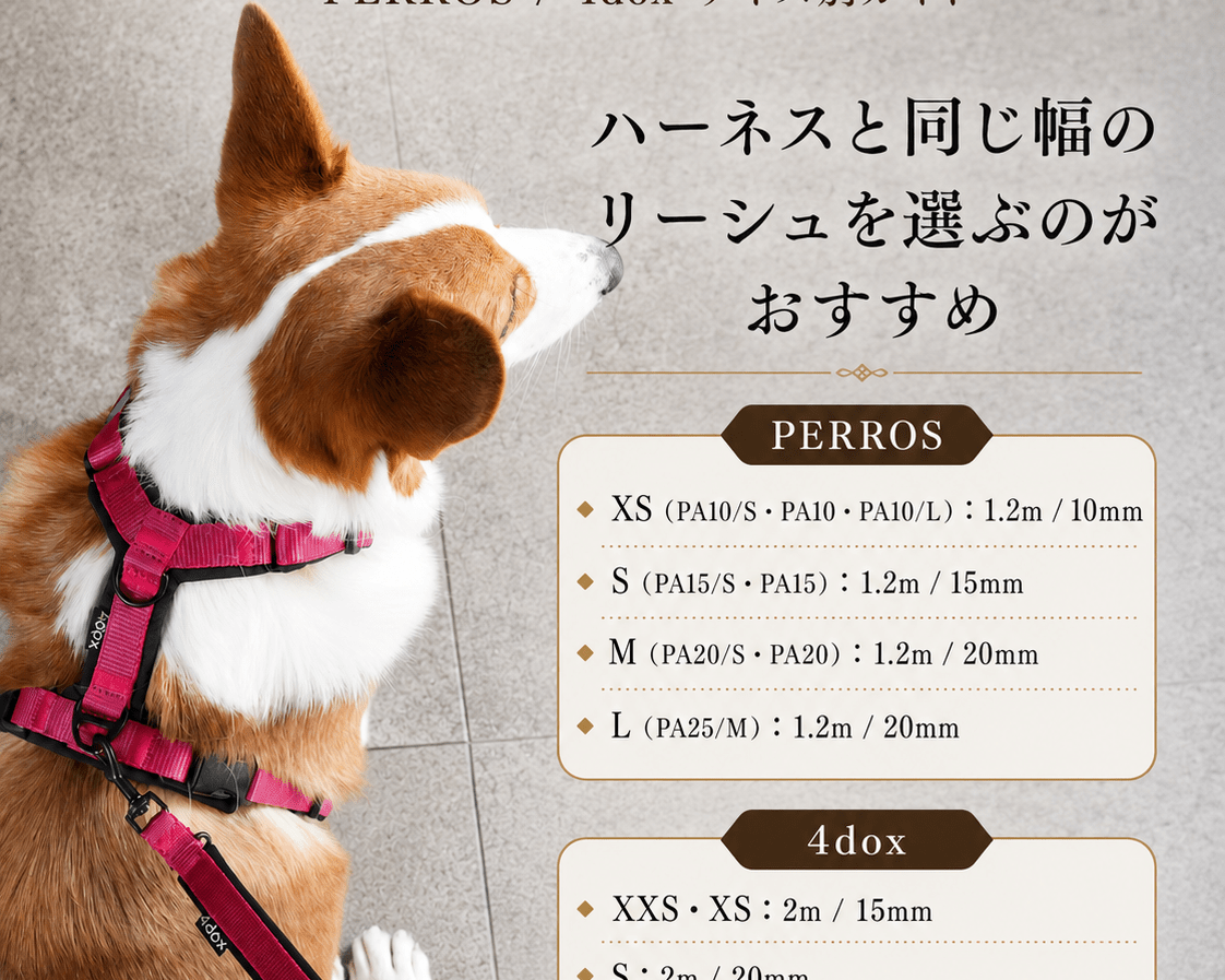  4dox セットパッケージ登場 - Alice's Dog & Cat
