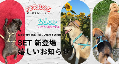 【新登場】 PERROS / 4dox ハーネスとリーシュSET登場