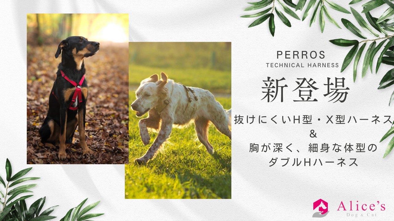 【新商品】PERROS ペルロス NEW形状のハーネスが登場 - Alice's Dog & Cat