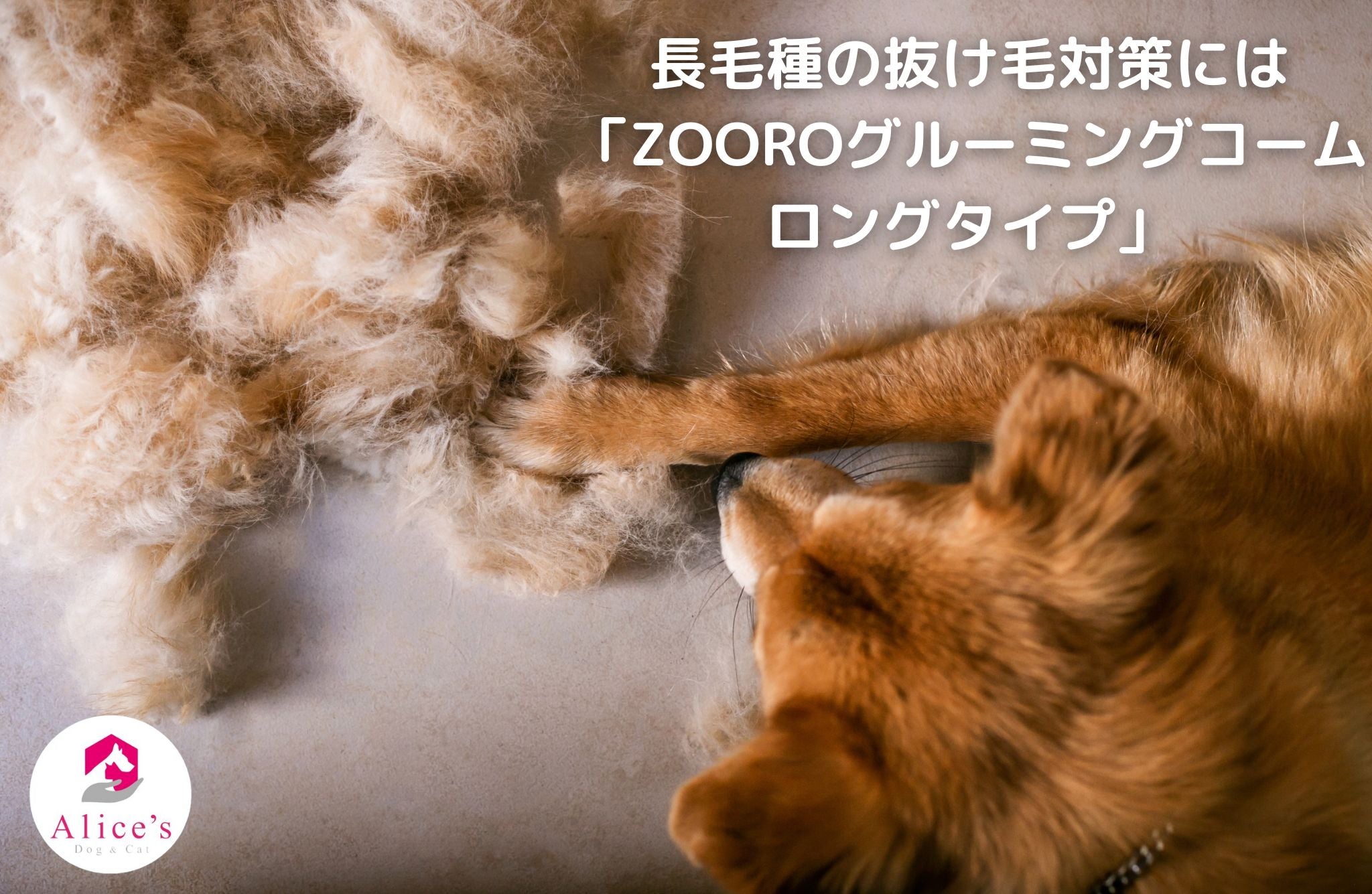 長毛種の抜け毛対策には「ZOOROグルーミングコーム ロングタイプ」 - Alice's Dog & Cat