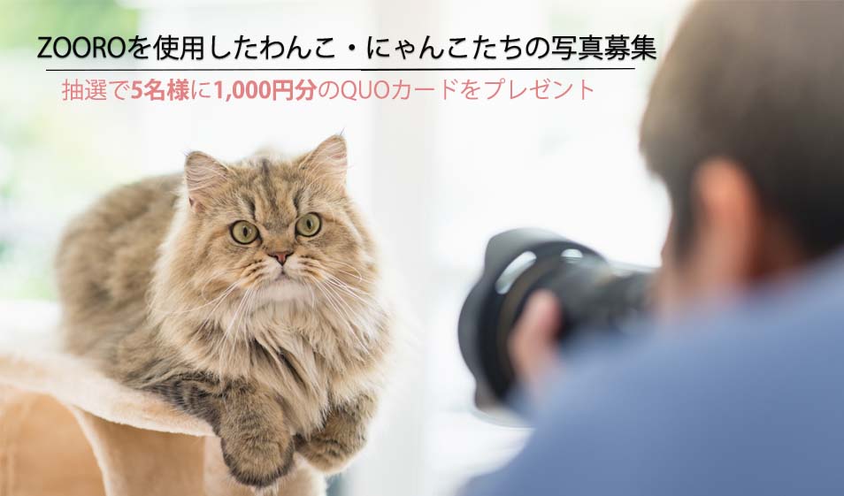 ZOOROを使用したわんこ・にゃんこたちの写真募集 - Alice's Dog & Cat