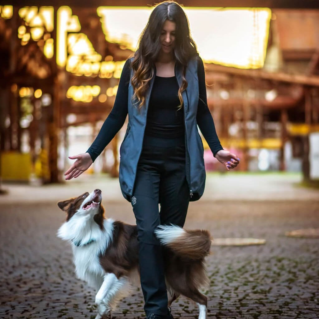 Best Selling Products - Alice's Dog & Cat