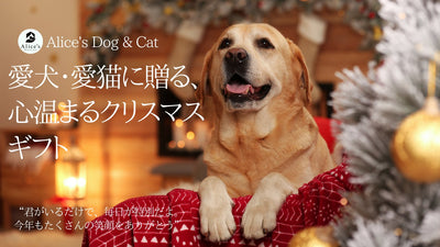 いつも一緒にいてくれてありがとう」の気持ちを込めて、今年のクリスマスは愛犬が喜ぶギフトを選びませんか？