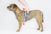 犬用ハーネス 4dox - コンフォートプラスハーネス XL / XXL