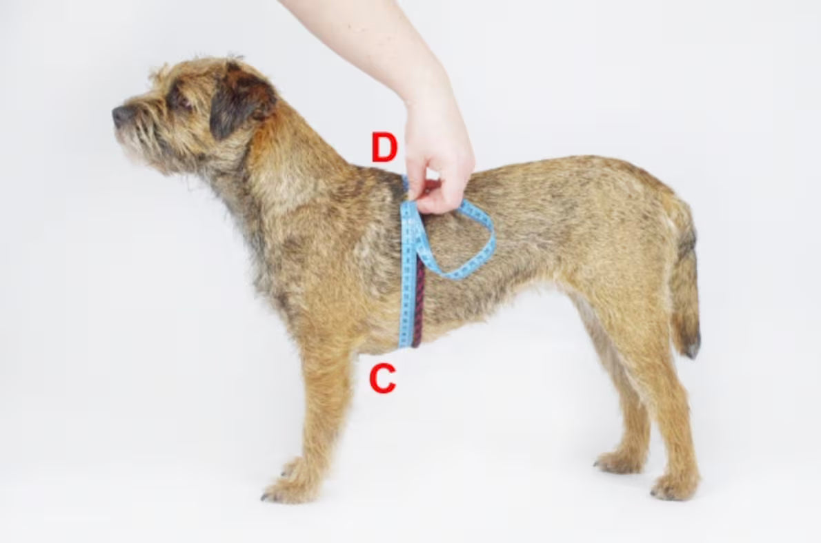 犬用ハーネス 4dox - コンフォートプラスハーネス XL / XXL
