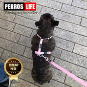 犬用ハーネス＆リード1.2mセット｜幅が揃う・首を通さない イタリア製 PERROS｜ペット用首輪・ハーネス｜犬用ハーネス PERROS ペルロス ハーネス&リーシュ セット - Alice's Dog & Cat