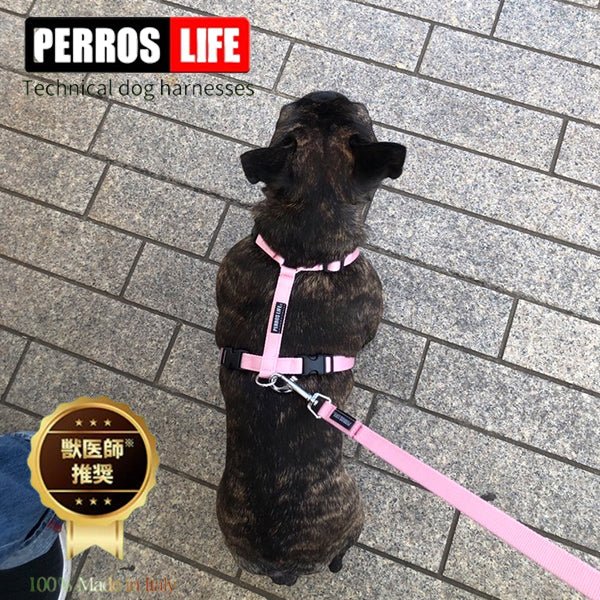 犬用ハーネス＆リード1.2mセット｜幅が揃う・首を通さない イタリア製 PERROS｜ペット用首輪・ハーネス｜犬用ハーネス PERROS ペルロス ハーネス&リーシュ セット - Alice's Dog & Cat